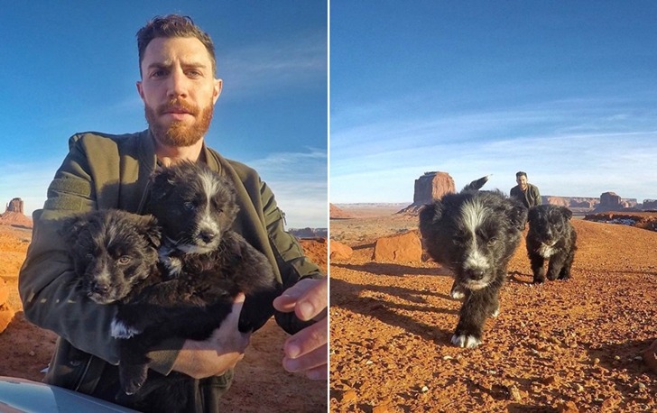 사막에 버려진 강아지를 구한 뒤 함께 여행하는 남자