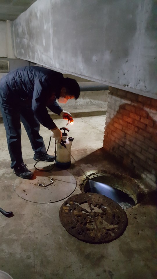 강남구, 겨울모기 방제활동